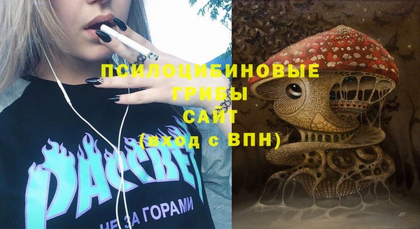 тгк Армянск
