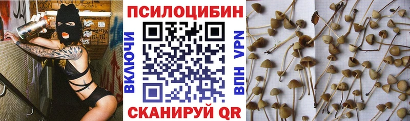 ОМГ ОМГ ссылки  Урень  Псилоцибиновые грибы мицелий  закладки 